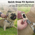 BINGPET No Pull Dog Harness Leash Collar Set,Adjustable Step-in Vest,Small