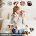 Newborn Pet Feeding Kit, 100ml Small Animal Nursing Bottle with BPA-Free Nipple, Oral Syringe, Measuring Cup & Cleaning 