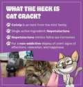 Cat Crack Organic Catnip, 100% Natural Cat Nips Organic Blend that Energizes and Excites Cats, Used for Cat Play, Training, & New Catnip Toys (1 Cup)