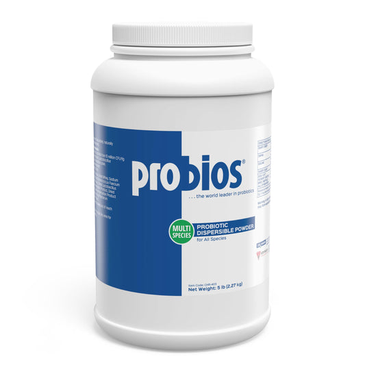 Probios Digestive Support Probiotic for Dogs, Horses, Cats, Gut Health Powder for All Species, Daily Supplement for Digestion Immune Support, 5 lbs