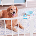 Carlson 29–36.5” Extra Wide Dog Gate with Small Pet Door, Walk-Through Pressure Mounted Metal Indoor Pet Safety Gate, Te