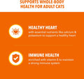 IAMS Proactive Health Dry Cat Food, Healthy Cat Food Dry Recipe for Adults, Salmon, 7 lb. Bag
