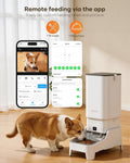 Automatic Cat Feeder with Camera - 7L/29 Cups Auto Dog Feeder with Large Food Tray & 1080P Night Vision, Elevated Bowl, 