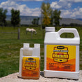 PYRANHA Stock Guard Concentrate - Livestock, Barn, Milk Rooms, Dairies, Poultry & Swine Houses Indoor Fly Control | Repe