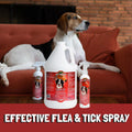 Bio-Groom Repel-35 Flea & Tick Dog, Fly Spray for Horses, 16 fl oz, 1-Pack