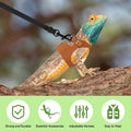 Bearded Dragon Harness Leash Set 3 Size Adjustable Lizards Training Walking Leather Vest Escape-Proof Traction Rope for 