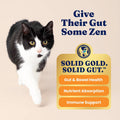 Solid Gold Indoor Salmon Dry Cat Food, High Fiber, Adult & Senior Cats, 3LB