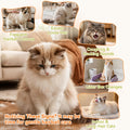 PUAINTA Cat Hairball Remedy & Cranberry Urinary Tract Support for Dogs & Cats, Reduce Shedding, Skin & Coat,UTI & Bladde
