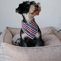 UP URARA PUP 4th of July Dog Bandana, Patriotic Bandana for Small Medium Dog, Cute Patriotic Puppy Bandana, Cotton American Flag Pet Triangle Bid Scarf Kerchief for Girl Boy Dogs or Cats
