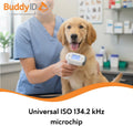 BuddyID ISO Pet Mini Microchip with Lifetime Registration & Starter Tag 1ct