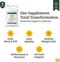 100% Pure Camelina Oil for Horses – Omega 3 & Vitamin E Rich Supplement for Coat, Hooves, Arthritis, Joints, Weight Gain