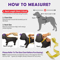 Kimee Dog Raincoat Waterproof Dog Rain Jacket for Small to 3X-Large Dog, XL