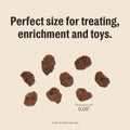 The Honest Kitchen Meaty Littles Dog Treats, Beef & Salmon Recipe, Made with Human Grade Ingredients, High Protein Mini 