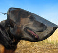 Out Fox Field Guard Size M - Vet-Recommended Dog Safety Mask for Foxtails, Grass Seeds, Bugs and Debris | Breathable, Lightweight, Patented Design | Multiple Sizes