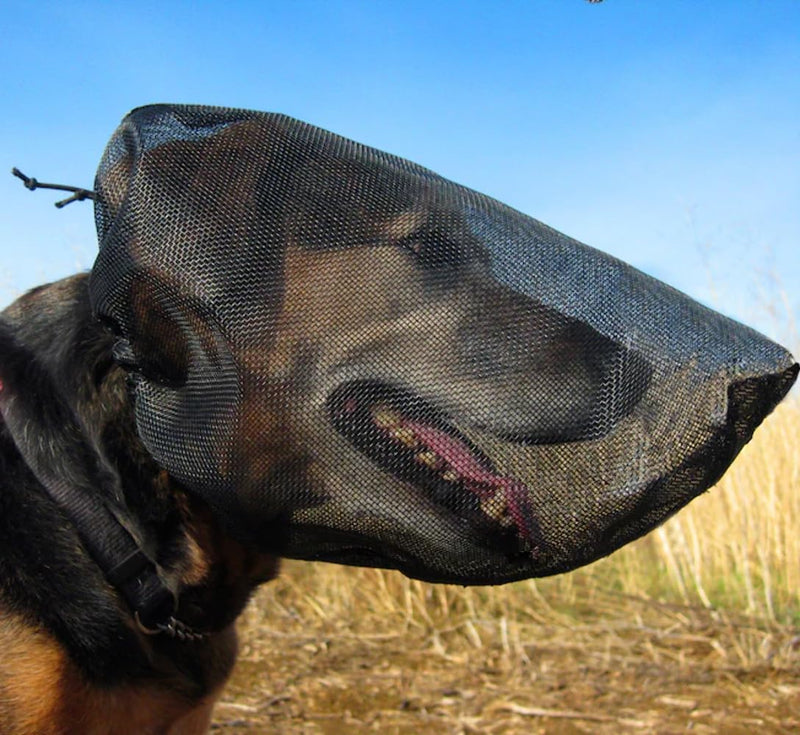 Out Fox Field Guard Size M - Vet-Recommended Dog Safety Mask for Foxtails, Grass Seeds, Bugs and Debris | Breathable, Lightweight, Patented Design | Multiple Sizes