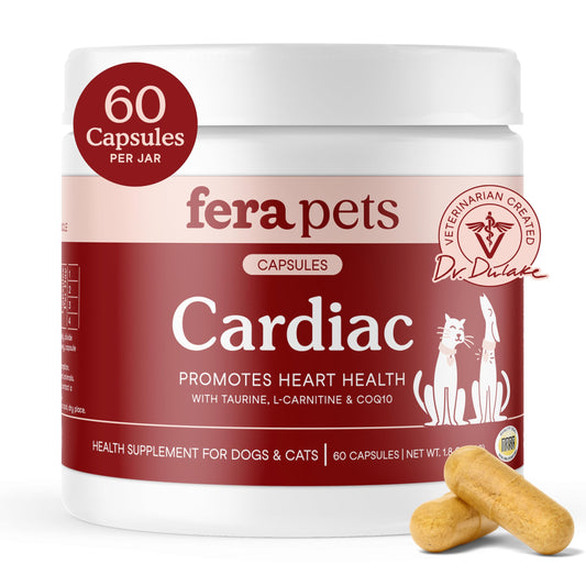 Fera Pets Taurine Supplement for Dogs & Cats - Heart Supplement with Taurine, L-Carnitine, & CoQ10 - Promotes Normal Circulation and Heartbeat - 60 Capsules