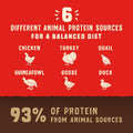 Stella & Chewy's Wild Red Raw Blend Kibble - Premium Freeze-Dried Raw Coated Dog Food - Perfect For Picky Eaters - High Protein Grain Free with 6 Red Meat Sources - 21lb Bag
