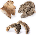 Galápagos (05501) Natural Cork Bark for Reptiles – Ideal for Bearded Dragons, Snakes, and Geckos – Climbing Accessory fo