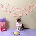 Ushang Pet Cat Princess Costumes Cat Crown Hat & Lace Bandana Scarf Set, Puppy Party Hat for Small Dogs & Cats, Lace Outfit for Cats and Small Dogs Birthday Party (Pink)