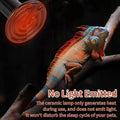 100W Ceramic Heat Emitter (2 Pack), Reptile Heat Lamp Bulbs, Ceramic Heater for Amphibian, Pet Brooder Coop, Chicken, Do
