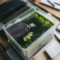 Basking Platform for Aquatic Turtles, Rock Suction Cup for Aquarium