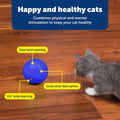 PetSafe Slimcat Feeder Ball Cat Toy, Blue