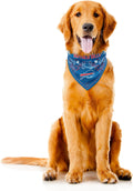 Littlearth NFL Buffalo Bills Pet Bandana, Team Color