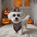 Haakong Cowboy Costume Set for Small Dog Cat Pet Mini Cowboy Hat Sunglasses with Bandana for Halloween Holiday Party Cosplay