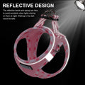 Mercano Soft Mesh Dog Harness and Leash Set, Step-in Reflective Breathable Lightweight Vest Harnesses with Safety Buckle for Small Dogs, Cats (Pink, S)