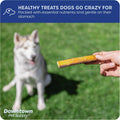 Downtown Pet Supply Jumbo Bully Sticks for Dogs - Natural Beef Chews, Low-Odor & Rawhide-Free, Long Lasting Dog Treats f