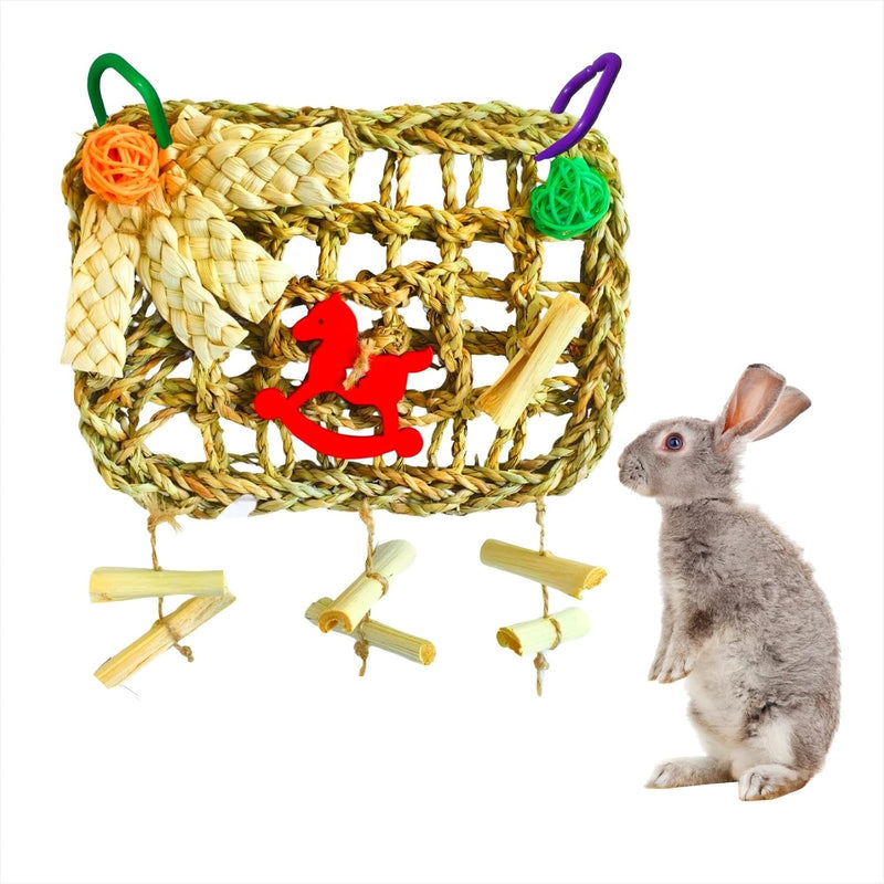 Rabbits Chew Toy, Bunny Cage Hanging Chew Toys and Treats
