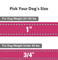 Taglory Reflective Dog Leash for Small Dogs, 3/4in x 4ft, Hot Pink