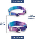 Spark Paws Martingale Dog Collar – Cushioned Slip-On Training Collar