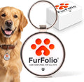 QR Code Dog Tag for Dogs & Cats – Smart Pet ID Tag – Scan to Contact Owner – No Subscription – Lost Pet Protection