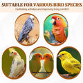 Sintuff Bird Perches Natural Wood Double Slots, 24 Inches, 4 Pcs