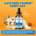Taurine for Cats - Taurine Supplement for Cats Heart Health, Cardiac Function, Immune System Support - with L-Carnitine, CoQ10, Omega-3, L-Arginine - 60ML, Roast Chicken Flavor