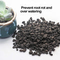 TOYPOPOR Black Horticultural Lava Rock Soil Additive for Cacti Succulents Plants No Dyes or Chemicals 100% Pure Volcanic
