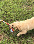 Dewonch Dog Fleece Rope Teaser Toy as Replacement to Chase and Tug (A-2PCS)