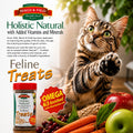 Bench & Field Holistic Natural Healthy Kitty Cat Treats | Crunchy Fish-Shaped Bites | Delicious Seafood Flavored Snack, 3-Ounce (Pack of 3 Bottles)