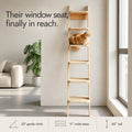 65" Tall 6-Level Cat Ladder for Window & wall | Fits Cats up to 20 lbs |cat Stairs for Window with 55° Gentle Incline | Requires 43" Floor Clearance | No-Drill