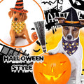 Halloween Dog Bandanas 2 Pack Pumpkin Ghost Bat Bone Candy Triangle Scarf
