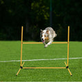 Halloscume 6 Pcs Dog Agility Training Jumps Hurdles