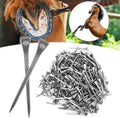 Horseshoe Nail, 250Pcs 2 Inch E6 Steel Horse Shoe Nails Hoof Peg Securing Tool for Horse Race Training Equestrian Sports