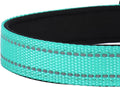 PWOD Reflective Dog Collar, Adjustable Soft Neoprene Padded Nylon Pet Collars with Buckle for Medium Dogs, Teal,M