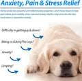 Oil for Dogs & Cats 60ML,Pet Oil for Pain,Skin,Arthritis Pain,Pain Relief,Calming,Omega 3,6,9 for Dog Emotions,Barking & Dog Joints,Supports & Maintains Healthy Joints (1 Pack, Blue)