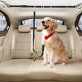 SKIPWALL Truck Bed Dog Tether for Two Dogs,Ratchet Tightening Adjustable Double Safety Truck Bed Dog Leash System for Pickup, SUV, Cars & Trucks
