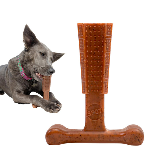 SPOT Bam-Bones Plus T Bone – Bamboo Fiber & Nylon Dog Chew Toy for Moderate to Aggressive Chewers, Durable Long Lasting & Non-Splintering, Beef Flavor Toy for Adult Dogs & Puppies Under 60 lbs, 6 in