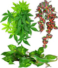 KATUMO Reptile Plants, 3 PCS Amphibian Hanging Plants with Suction Cup for Snake, Bearded Dragons, Lizards, Geckos, Toad