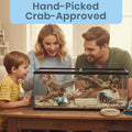 Hermit Crab Shells | Turbo Shells | Jade Green Banded Turbo Shell 4"-4.5" | Hermit Crab House for Décor | Plus Free Naut