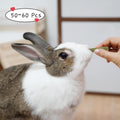 40-50 Pcs Rabbit Chew Toys, Guinea Pig, Hamster, Bunny Chew Toys, Sweet Bamboo, Apple Stick, Timothy Stick, Prevent Teet